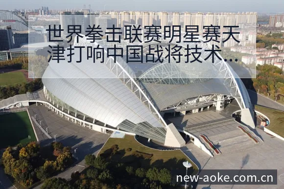 世界拳击联赛明星赛天津打响中国战将技术风格与风险分析 - 澳客