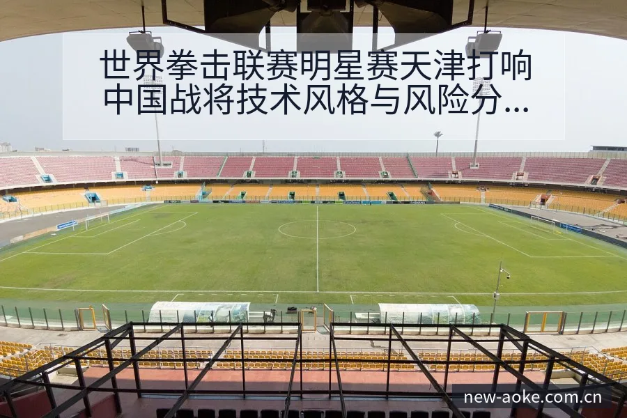 世界拳击联赛明星赛天津打响中国战将技术风格与风险分析 - 澳客